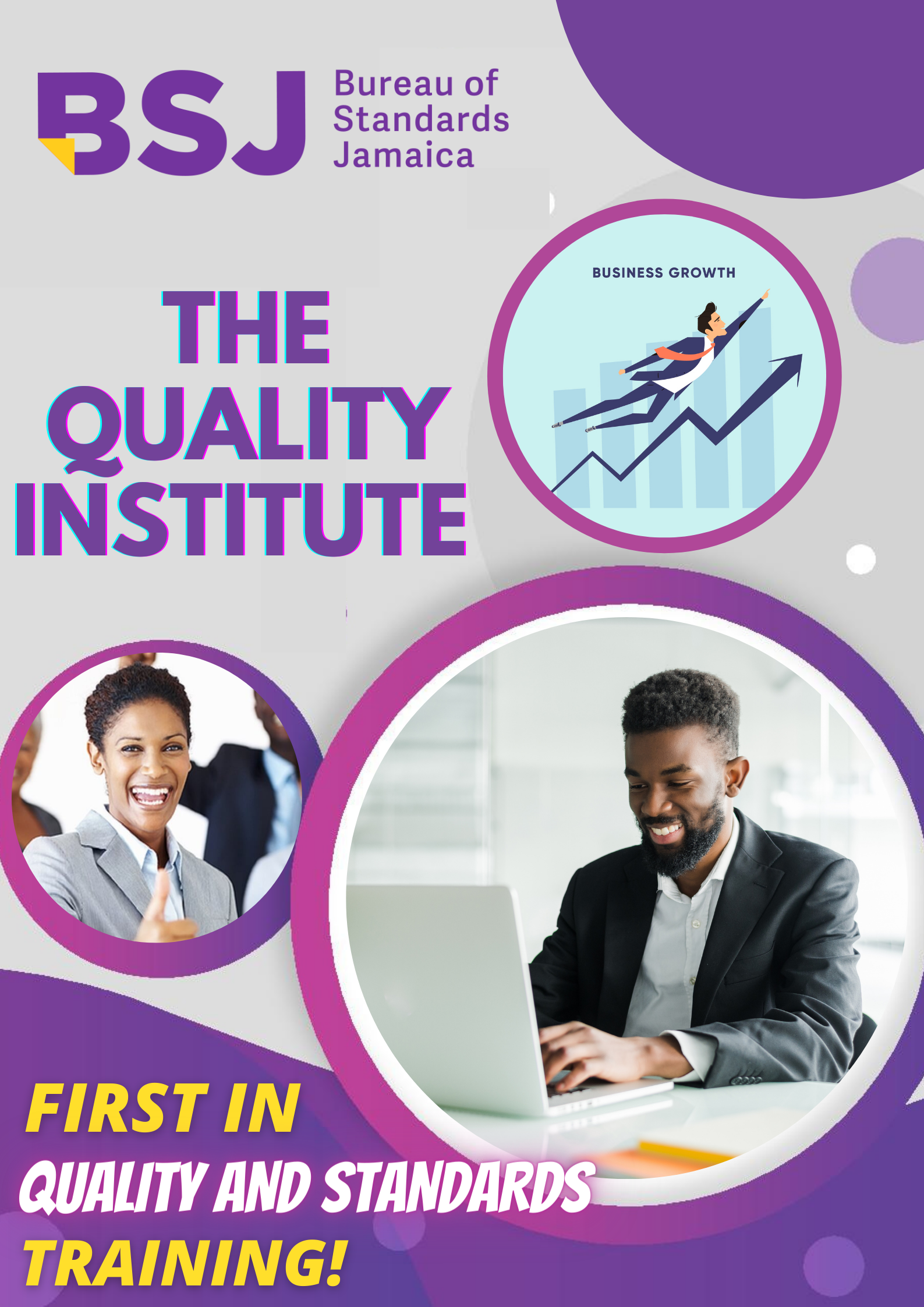 The Quality Institute's Online Brochure Bureau of Standards Jamaica